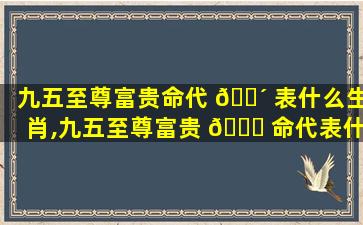 九五至尊富贵命代 🐴 表什么生肖,九五至尊富贵 🍀 命代表什么生肖和动物